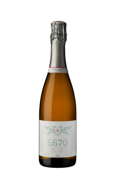 6670 Rosé_Weingut_Andres