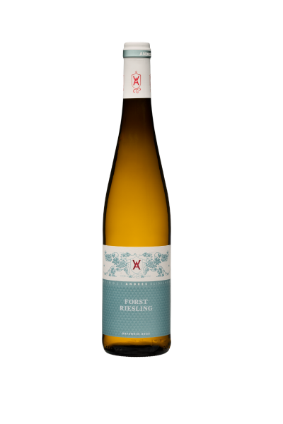 Forst_Riesling_Weingut_Andres