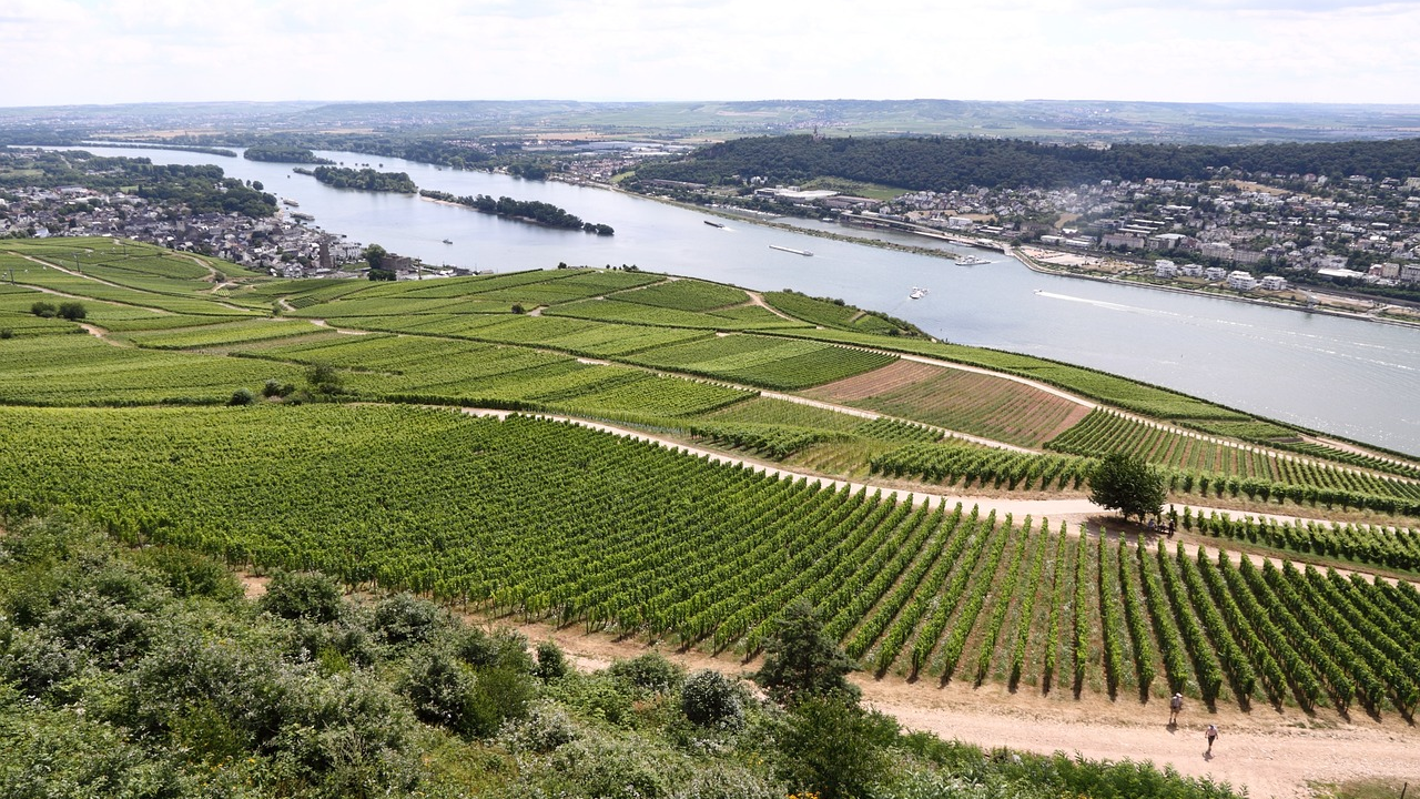 Rheingau