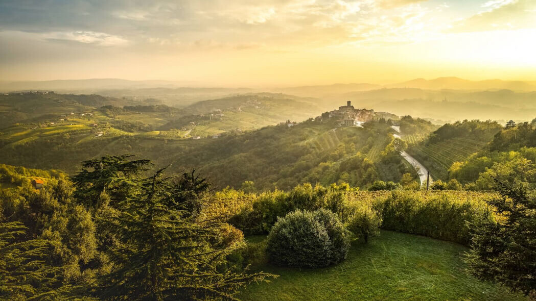 Goriška Brda / Slowenien